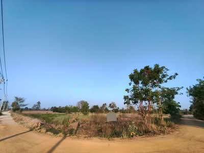 ขาย - ที่ดินลาดยาว นครสวรรค์, นครสวรรค์