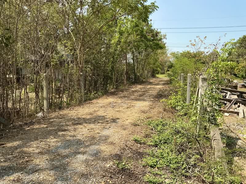 Phacee, Phra Nakhon Si Ayutthaya, Don Ya Nang, Phachi, Phra Nakhon Si Ayutthaya, , 4,800 sqm, Land For Sale, by เฮี้ยง, 500199586 - DDproperty.com