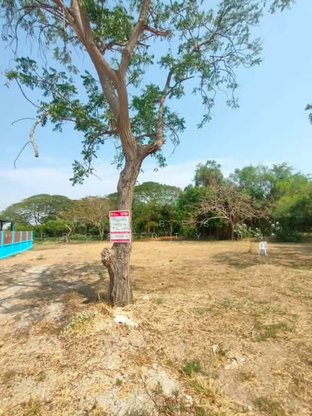 ที่ดินบางปะกง ฉะเชิงเทรา, ฉะเชิงเทรา, บางเกลือ, บางปะกง, ฉะเชิงเทรา, 544 ตร.ม., ที่ดิน ขาย, โดย The Best Property กุ้ง, 500199614 - DDproperty.com