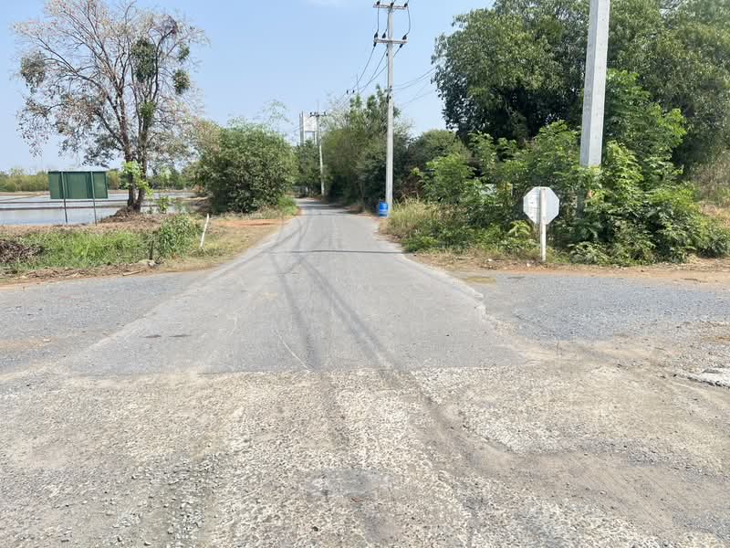 ที่ดิน 12 ไร่ พร้อมบ้าน 4 หลัง (ตกแต่งด้วยไม้สัก) – อ.สามชุก จ.สุพรรณบุรี, Suphan Buri, Nong Sadao, Sam Chuk, Suphan Buri, , 19,200 sqm, Land For Sale, by Tadsapong Pimpachad, 500199631 - DDproperty.com