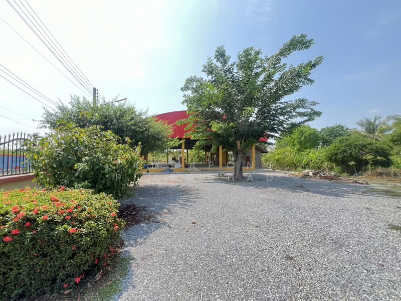 ขาย - ที่ดิน 12 ไร่ พร้อมบ้าน 4 หลัง (ตกแต่งด้วยไม้สัก) – อ.สามชุก จ.สุพรรณบุรี, สุพรรณบุรี