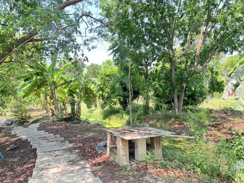 ขาย - ที่ดิน 12 ไร่ พร้อมบ้าน 4 หลัง (ตกแต่งด้วยไม้สัก) – อ.สามชุก จ.สุพรรณบุรี, สุพรรณบุรี