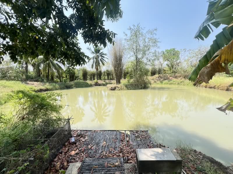 ขาย - ที่ดิน 12 ไร่ พร้อมบ้าน 4 หลัง (ตกแต่งด้วยไม้สัก) – อ.สามชุก จ.สุพรรณบุรี, สุพรรณบุรี