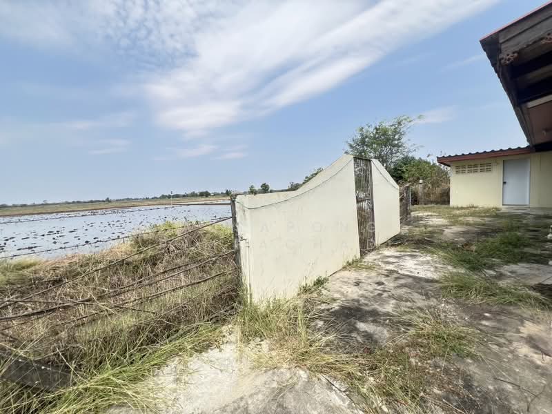 ที่ดิน 12 ไร่ พร้อมบ้าน 4 หลัง (ตกแต่งด้วยไม้สัก) – อ.สามชุก จ.สุพรรณบุรี, Suphan Buri, Nong Sadao, Sam Chuk, Suphan Buri, , 19,200 sqm, Land For Sale, by Tadsapong Pimpachad, 500199631 - DDproperty.com