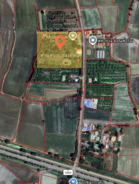 ที่ดิน 12 ไร่ พร้อมบ้าน 4 หลัง (ตกแต่งด้วยไม้สัก) – อ.สามชุก จ.สุพรรณบุรี, Suphan Buri, Nong Sadao, Sam Chuk, Suphan Buri, , 19,200 sqm, Land For Sale, by Tadsapong Pimpachad, 500199631 - DDproperty.com