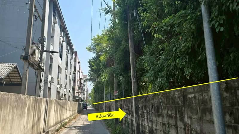 Resort Tanyatawee, Pathum Thani, Prachathipat, Thanyaburi, Pathum Thani, , 9,600 sqm, Land For Sale, by วรพล วิแหลม, 500199639 - DDproperty.com