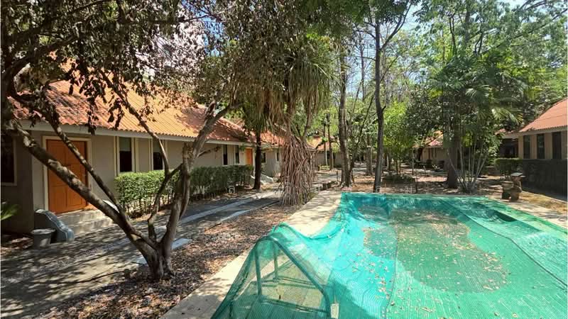 คลองหก, ปทุมธานี, ประชาธิปัตย์, ธัญบุรี, ปทุมธานี, 9,600 ตร.ม., ที่ดิน ขาย, โดย วรพล วิแหลม, 500199639 - DDproperty.com