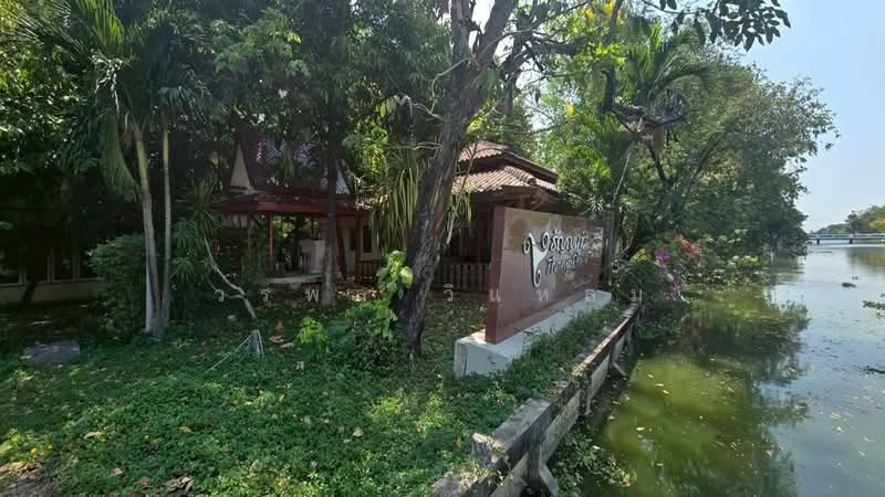 คลองหก, ปทุมธานี, ประชาธิปัตย์, ธัญบุรี, ปทุมธานี, 9,600 ตร.ม., ที่ดิน ขาย, โดย วรพล วิแหลม, 500199639 - DDproperty.com