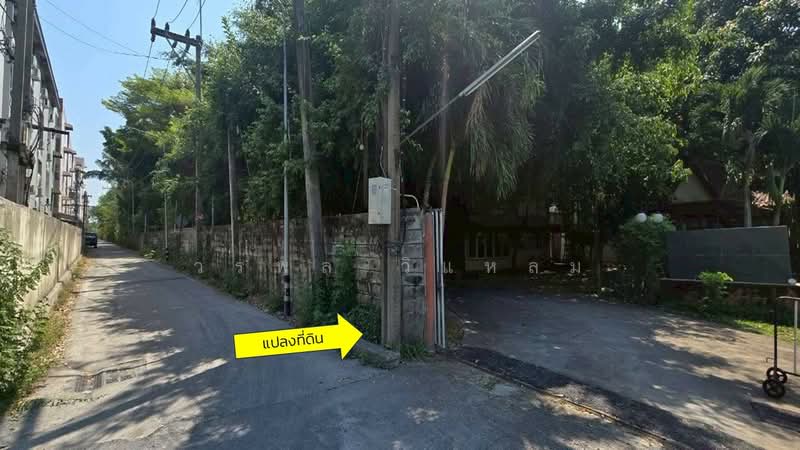 คลองหก, ปทุมธานี, ประชาธิปัตย์, ธัญบุรี, ปทุมธานี, 9,600 ตร.ม., ที่ดิน ขาย, โดย วรพล วิแหลม, 500199639 - DDproperty.com