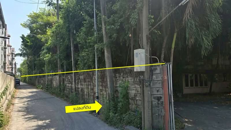 คลองหก, ปทุมธานี, ประชาธิปัตย์, ธัญบุรี, ปทุมธานี, 9,600 ตร.ม., ที่ดิน ขาย, โดย วรพล วิแหลม, 500199639 - DDproperty.com