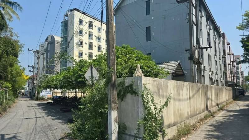 Resort Tanyatawee, Pathum Thani, Prachathipat, Thanyaburi, Pathum Thani, , 9,600 sqm, Land For Sale, by วรพล วิแหลม, 500199639 - DDproperty.com