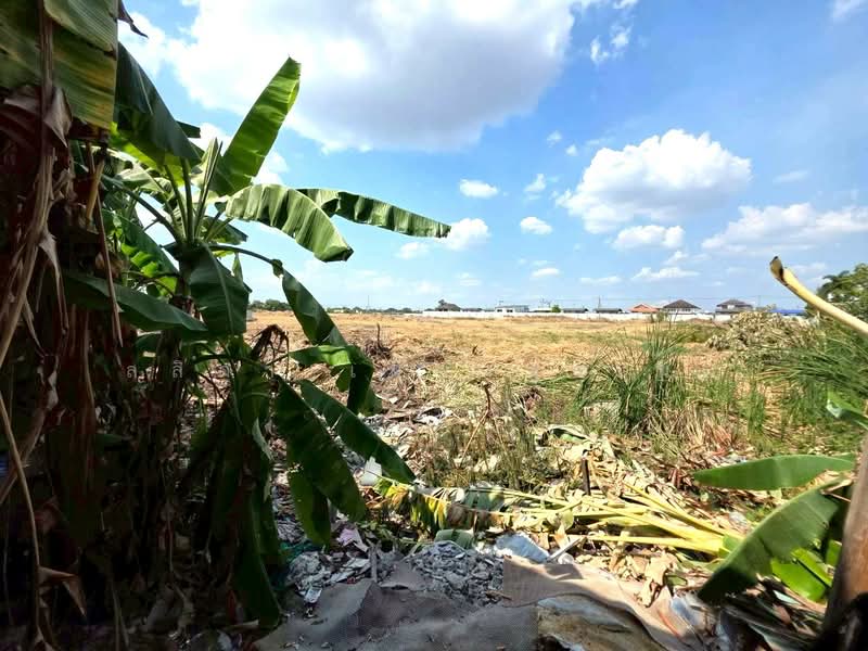 Nakkila Laem Thong Village : หมู่บ้านนักกีฬาแหลมทอง, กรุงเทพ, สะพานสูง, สะพานสูง, กรุงเทพ, 45 ตร.ม., บ้านแฝด ขาย, โดย ลลิดา เผียงสูงเนิน, 500199642 - DDproperty.com