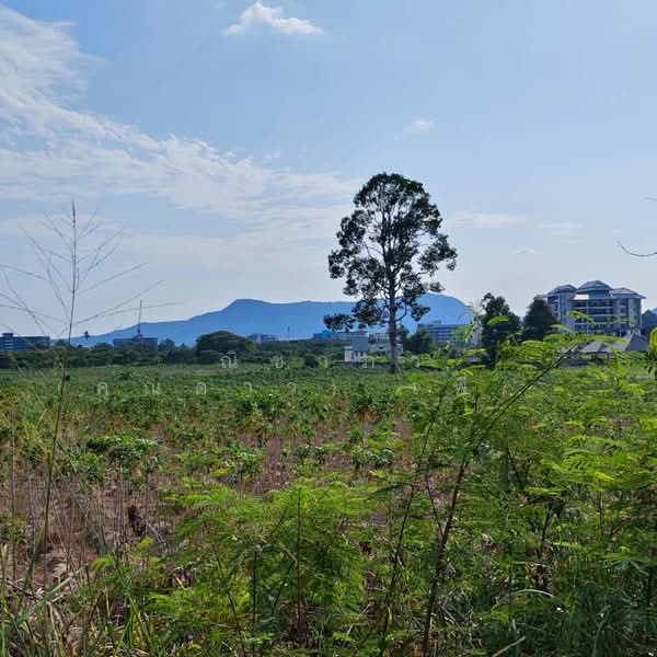 Land for sale 3 Rai Bangsary, Chon Buri (Pattaya), บางเสร่, Bang Sa-re, Sattahip, Chon Buri (Pattaya), , 4,800 sqm, Land For Sale, by Nichapa Phiachan, 500199652 - DDproperty.com