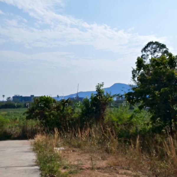 Land for sale 3 Rai Bangsary, Chon Buri (Pattaya), บางเสร่, Bang Sa-re, Sattahip, Chon Buri (Pattaya), , 4,800 sqm, Land For Sale, by Nichapa Phiachan, 500199652 - DDproperty.com