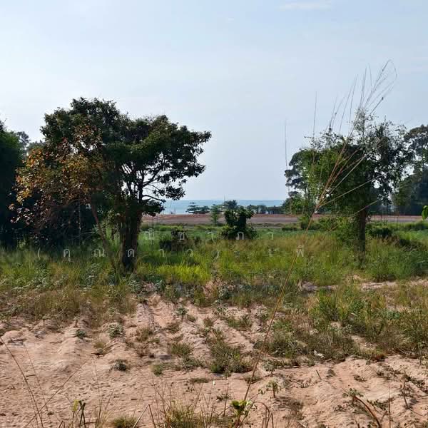Land for sale 3 Rai Bangsary, Chon Buri (Pattaya), บางเสร่, Bang Sa-re, Sattahip, Chon Buri (Pattaya), , 4,800 sqm, Land For Sale, by Nichapa Phiachan, 500199652 - DDproperty.com