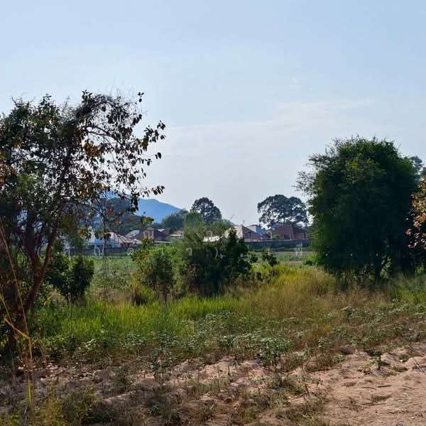 Land for sale 3 Rai Bangsary, Chon Buri (Pattaya), บางเสร่, Bang Sa-re, Sattahip, Chon Buri (Pattaya), , 4,800 sqm, Land For Sale, by Nichapa Phiachan, 500199652 - DDproperty.com