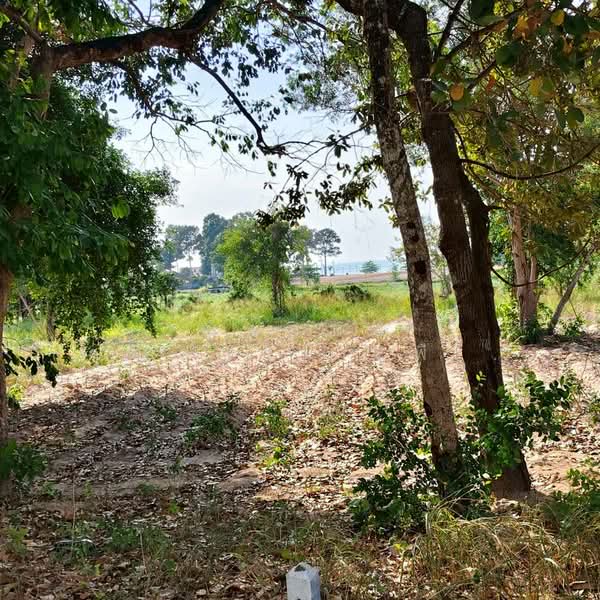 Land for sale 3 Rai Bangsary, Chon Buri (Pattaya), บางเสร่, Bang Sa-re, Sattahip, Chon Buri (Pattaya), , 4,800 sqm, Land For Sale, by Nichapa Phiachan, 500199652 - DDproperty.com