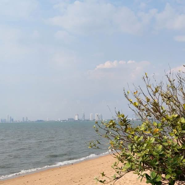 Land for sale 3 Rai Bangsary, Chon Buri (Pattaya), บางเสร่, Bang Sa-re, Sattahip, Chon Buri (Pattaya), , 4,800 sqm, Land For Sale, by Nichapa Phiachan, 500199652 - DDproperty.com