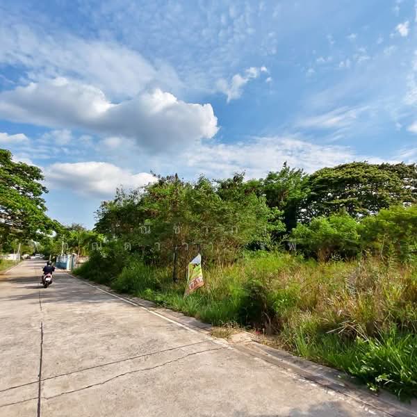 Land for sale 3 Rai Bangsary, Chon Buri (Pattaya), บางเสร่, Bang Sa-re, Sattahip, Chon Buri (Pattaya), , 4,800 sqm, Land For Sale, by Nichapa Phiachan, 500199652 - DDproperty.com