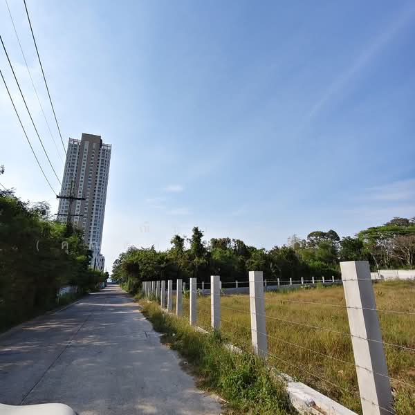 ใกล้ทะเลบางเสร่ - บางเสร่ ตำบลบางเสร่ อำเภอสัตหีบ จังหวัดชลบุรี, ชลบุรี, บางเสร่, บางเสร่, สัตหีบ, ชลบุรี, 4,800 ตร.ม., ที่ดิน ขาย, โดย ณิชาภา (คุณดาว) เพียจันทร์, 500199652 - DDproperty.com