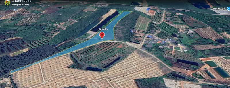 ชากพง, Rayong, Chakphong, Klaeng, Rayong, , 28,800 sqm, Land For Sale, by วรพล วิแหลม, 500199669 - DDproperty.com