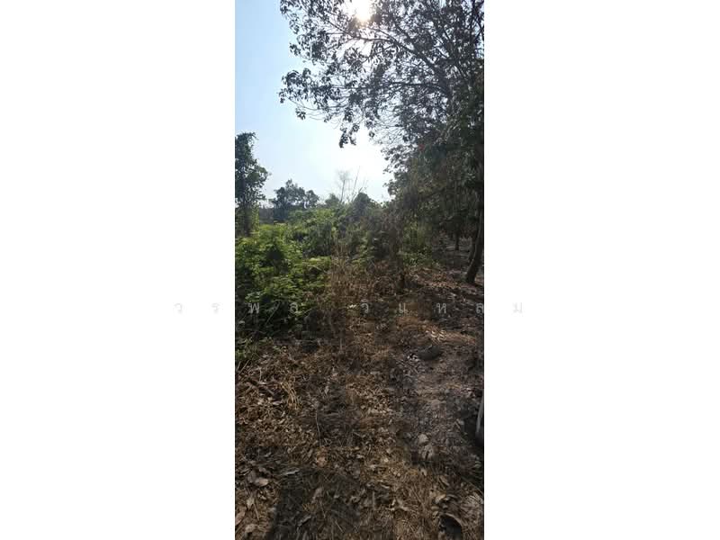 ชากพง, Rayong, Chakphong, Klaeng, Rayong, , 28,800 sqm, Land For Sale, by วรพล วิแหลม, 500199669 - DDproperty.com