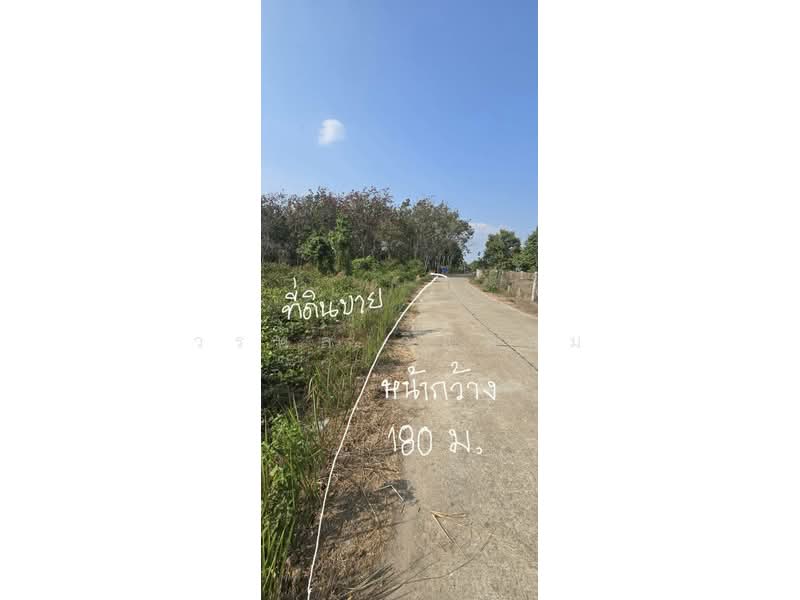 ชากพง, Rayong, Chakphong, Klaeng, Rayong, , 28,800 sqm, Land For Sale, by วรพล วิแหลม, 500199669 - DDproperty.com