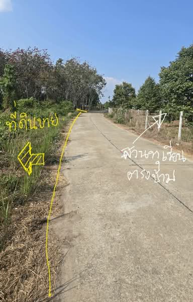 ชากพง, ระยอง, ชากพง, แกลง, ระยอง, 28,800 ตร.ม., ที่ดิน ขาย, โดย วรพล วิแหลม, 500199669 - DDproperty.com