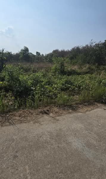 ชากพง, Rayong, Chakphong, Klaeng, Rayong, , 28,800 sqm, Land For Sale, by วรพล วิแหลม, 500199669 - DDproperty.com