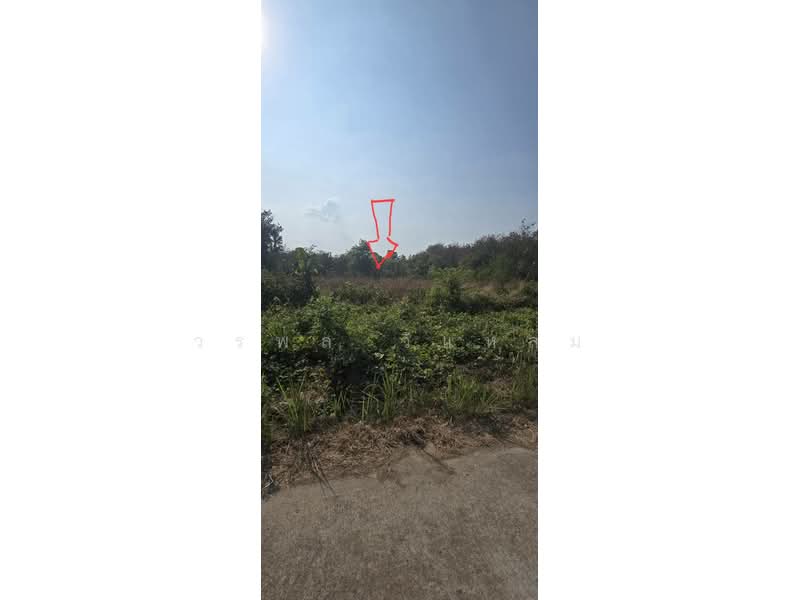 ชากพง, Rayong, Chakphong, Klaeng, Rayong, , 28,800 sqm, Land For Sale, by วรพล วิแหลม, 500199669 - DDproperty.com