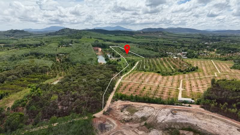 ชากพง, Rayong, Chakphong, Klaeng, Rayong, , 28,800 sqm, Land For Sale, by วรพล วิแหลม, 500199669 - DDproperty.com