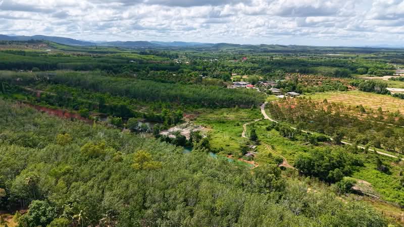 ชากพง, Rayong, Chakphong, Klaeng, Rayong, , 28,800 sqm, Land For Sale, by วรพล วิแหลม, 500199669 - DDproperty.com