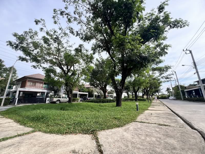 Como Primo Bangna, Samut Prakan, Bang Na-Trat Road, Bangphli Yai, Bang Plee, Samut Prakan, 4 Bedrooms, 185 sqm, Single Detached House For Rent, by ปภัชญา ธนัตถ์ภรณ์, 500199674 - DDproperty.com