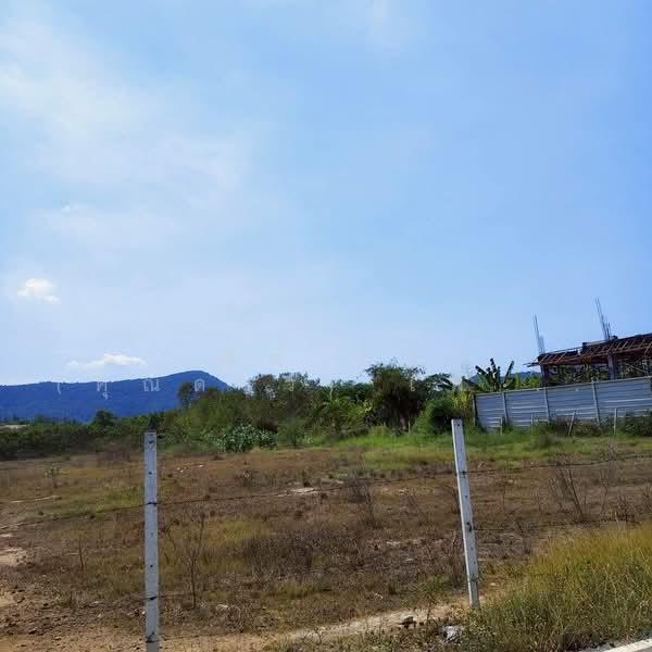 Land For Sale Bangsary, Chon Buri (Pattaya), Bang Sa-re, Sattahip, Chon Buri (Pattaya), , 1,668 sqm, Land For Sale, by Nichapa Phiachan, 500199685 - DDproperty.com
