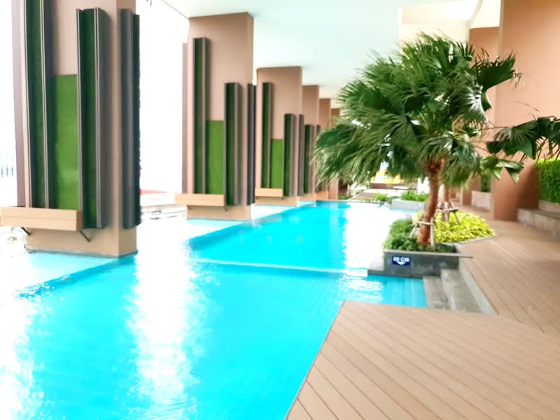 The Coast, Bangkok, 3888 Sukhumvit Road, Bang Na Tai, Bang Na, Bangkok, 1 Bedroom, 45 sqm, Condo For Rent, by โรส, 500199690 - DDproperty.com