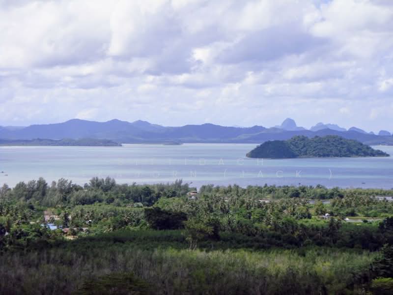 ภูเก็ต, Phuket, Pa Khlok, Thalang, Phuket, , 22,704 sqm, Land For Sale, by Sittidach Ritkajorn (Jack ), 500199712 - DDproperty.com