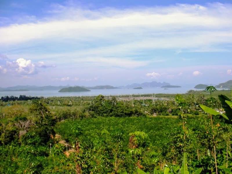 ภูเก็ต, ภูเก็ต, ป่าคลอก, ถลาง, ภูเก็ต, 22,704 ตร.ม., ที่ดิน ขาย, โดย Sittidach Ritkajorn (Jack ), 500199712 - DDproperty.com