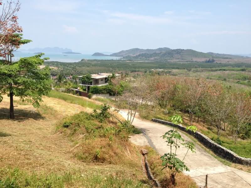 ภูเก็ต, Phuket, Pa Khlok, Thalang, Phuket, , 22,704 sqm, Land For Sale, by Sittidach Ritkajorn (Jack ), 500199712 - DDproperty.com