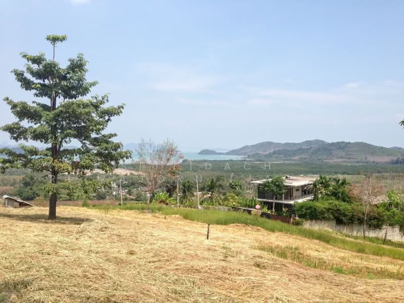 ภูเก็ต, Phuket, Pa Khlok, Thalang, Phuket, , 22,704 sqm, Land For Sale, by Sittidach Ritkajorn (Jack ), 500199712 - DDproperty.com