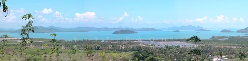 ภูเก็ต, Phuket, Pa Khlok, Thalang, Phuket, , 22,704 sqm, Land For Sale, by Sittidach Ritkajorn (Jack ), 500199712 - DDproperty.com