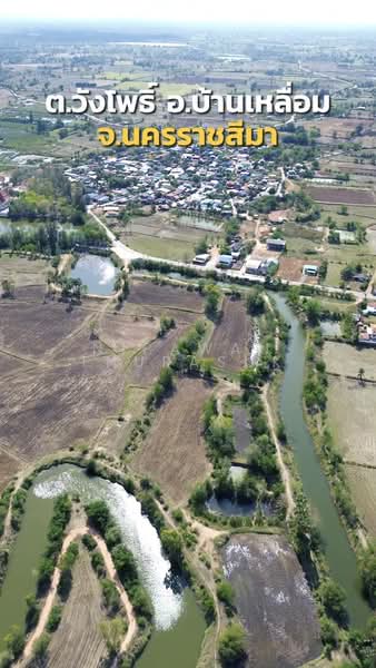 บ้านเหลื่อม, Nakhon Ratchasima, Wang Pho, Ban Luam, Nakhon Ratchasima, , 42,004 sqm, Land For Sale, by Nipawan Thurasuk, 500199732 - DDproperty.com