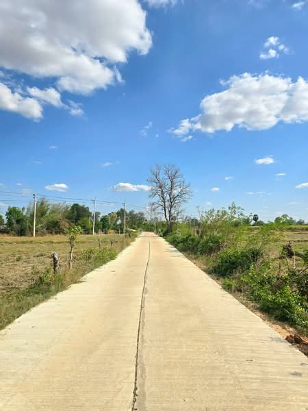 บ้านเหลื่อม, Nakhon Ratchasima, Wang Pho, Ban Luam, Nakhon Ratchasima, , 42,004 sqm, Land For Sale, by Nipawan Thurasuk, 500199732 - DDproperty.com