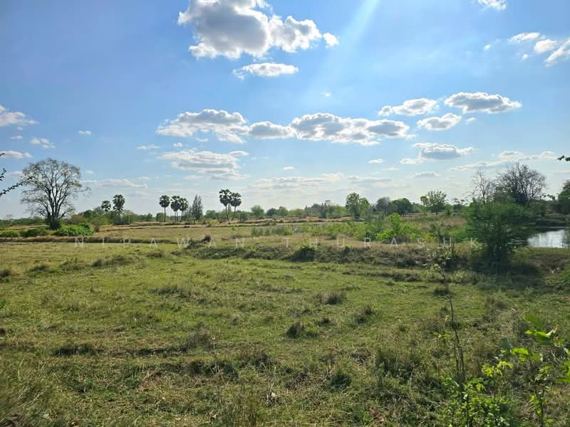 บ้านเหลื่อม, Nakhon Ratchasima, Wang Pho, Ban Luam, Nakhon Ratchasima, , 42,004 sqm, Land For Sale, by Nipawan Thurasuk, 500199732 - DDproperty.com