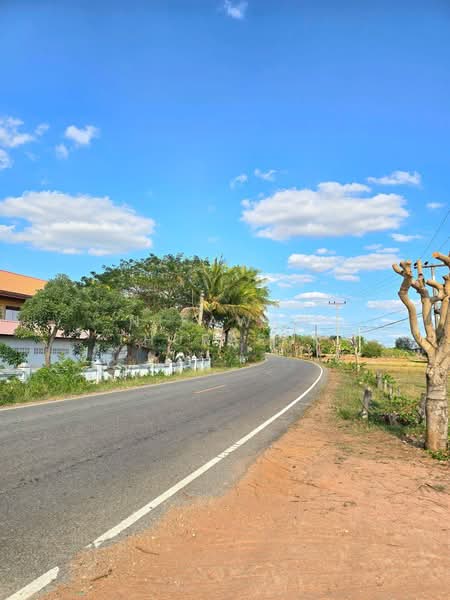 บ้านเหลื่อม, Nakhon Ratchasima, Wang Pho, Ban Luam, Nakhon Ratchasima, , 42,004 sqm, Land For Sale, by Nipawan Thurasuk, 500199732 - DDproperty.com