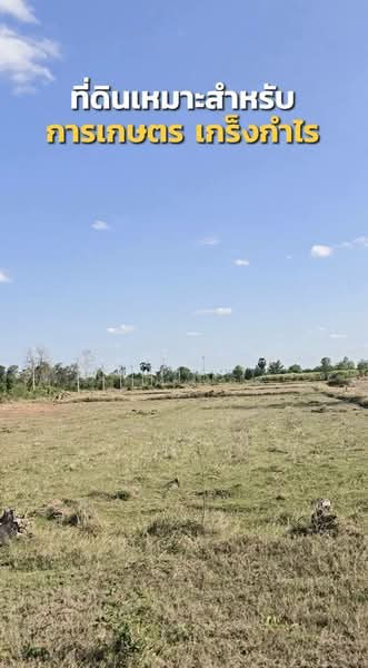 บ้านเหลื่อม, Nakhon Ratchasima, Wang Pho, Ban Luam, Nakhon Ratchasima, , 42,004 sqm, Land For Sale, by Nipawan Thurasuk, 500199732 - DDproperty.com