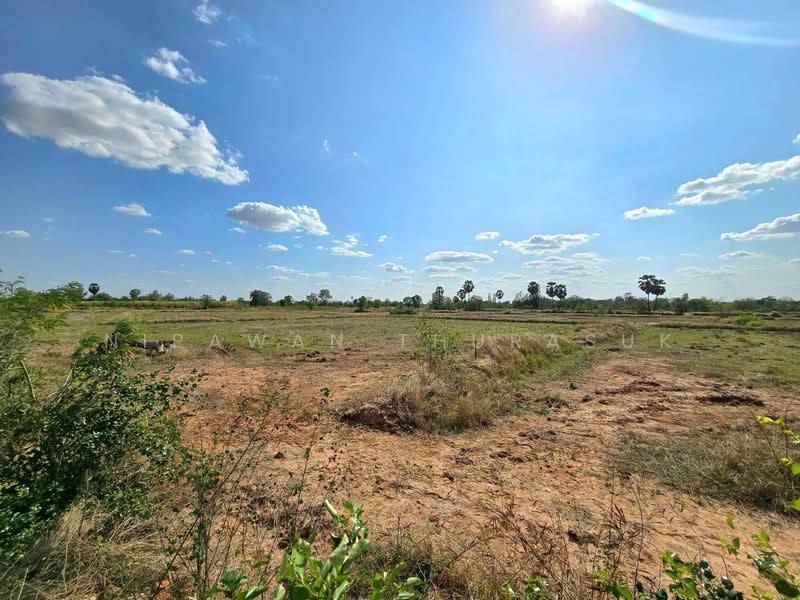บ้านเหลื่อม, Nakhon Ratchasima, Wang Pho, Ban Luam, Nakhon Ratchasima, , 42,004 sqm, Land For Sale, by Nipawan Thurasuk, 500199732 - DDproperty.com