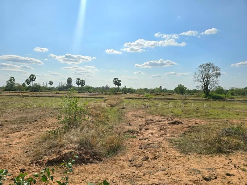 บ้านเหลื่อม, Nakhon Ratchasima, Wang Pho, Ban Luam, Nakhon Ratchasima, , 42,004 sqm, Land For Sale, by Nipawan Thurasuk, 500199732 - DDproperty.com