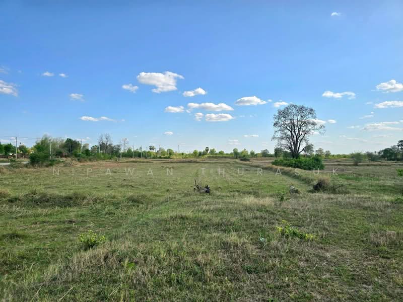 บ้านเหลื่อม, Nakhon Ratchasima, Wang Pho, Ban Luam, Nakhon Ratchasima, , 42,004 sqm, Land For Sale, by Nipawan Thurasuk, 500199732 - DDproperty.com