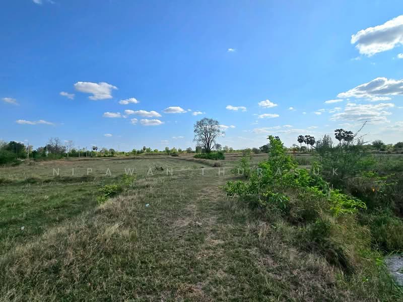 บ้านเหลื่อม, Nakhon Ratchasima, Wang Pho, Ban Luam, Nakhon Ratchasima, , 42,004 sqm, Land For Sale, by Nipawan Thurasuk, 500199732 - DDproperty.com