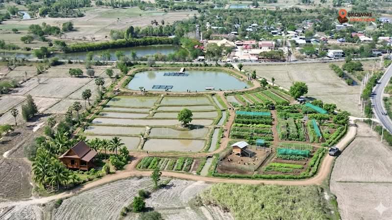 บ้านเหลื่อม, Nakhon Ratchasima, Wang Pho, Ban Luam, Nakhon Ratchasima, , 42,004 sqm, Land For Sale, by Nipawan Thurasuk, 500199732 - DDproperty.com